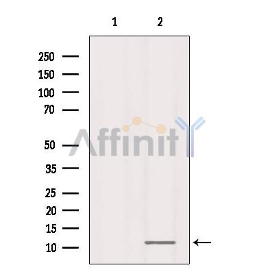 Валидация Affinity DF9133 - 21460