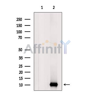 Валидация Affinity DF8177 - 20022