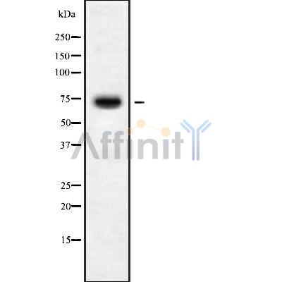 Валидация Affinity DF10066 - 5541