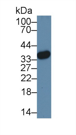 8972
