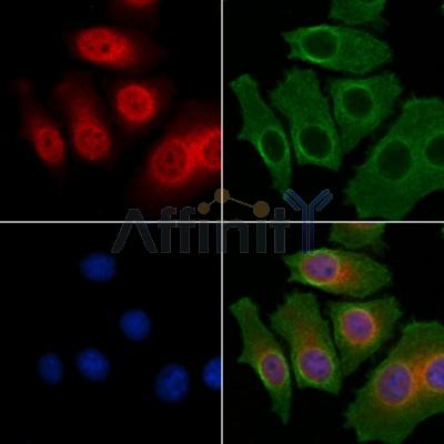 Валидация Affinity AF5006 - 2436