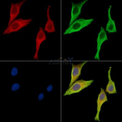 Валидация Affinity DF15731 - 12206