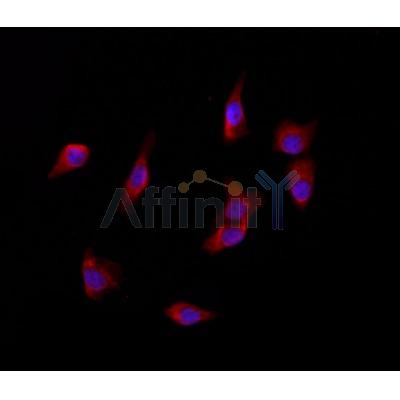 Валидация Affinity DF12024 - 6046