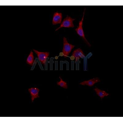 Валидация Affinity DF12051 - 6103