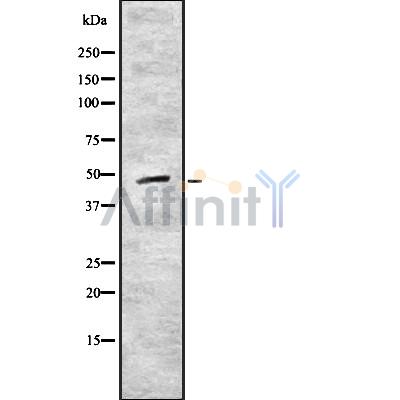 Валидация Affinity DF8930 - 21075