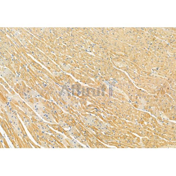 Валидация Affinity DF12074 - 6151
