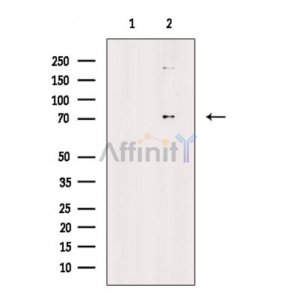 Валидация Affinity DF3773 - 14870