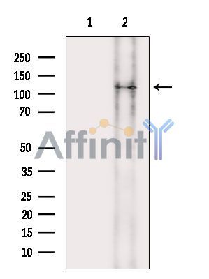 Валидация Affinity DF3404 - 14300