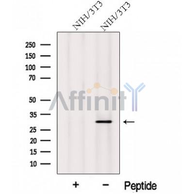 Валидация Affinity DF12659 - 7308