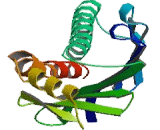 Protein C Receptor, Endothelial (PROCR)