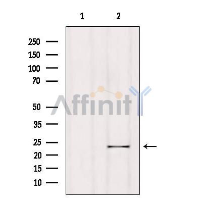 Валидация Affinity DF4413 - 15907