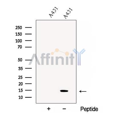 Валидация Affinity DF12893 - 7637