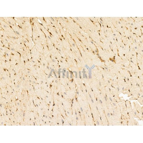 Валидация Affinity DF13674 - 9254