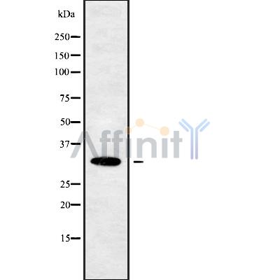 Валидация Affinity DF10236 - 5816