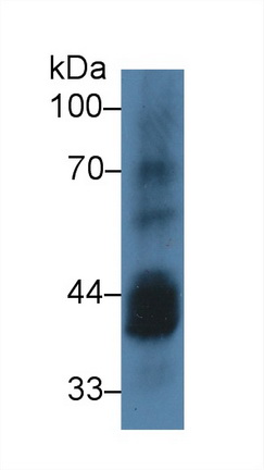 9534