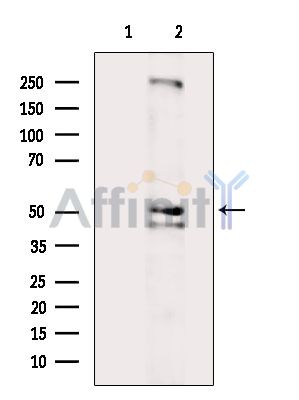 Валидация Affinity DF13779 - 9448