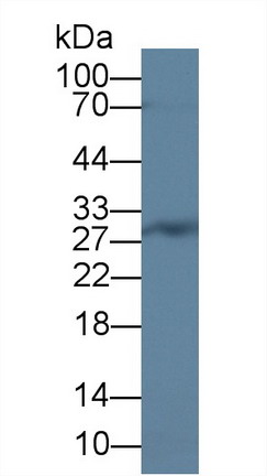 8730