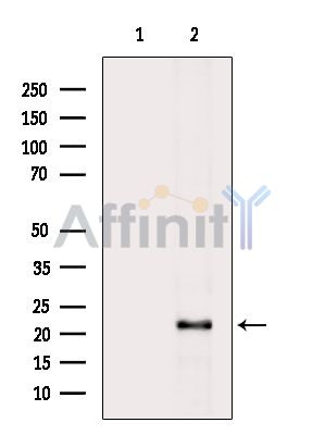 Валидация Affinity DF15762 - 12236
