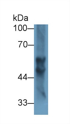 13421