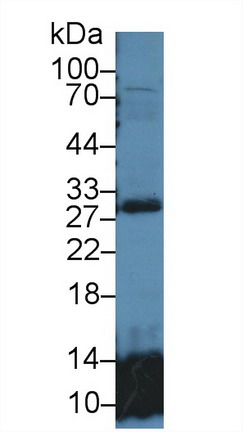 9735