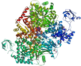 Pyruvate Kinase, Liver And RBC (PK)