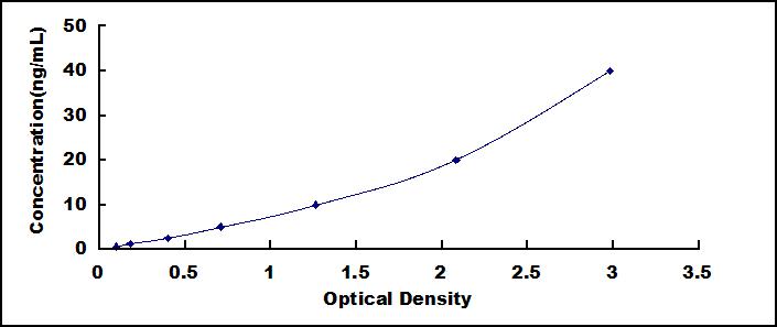 33906