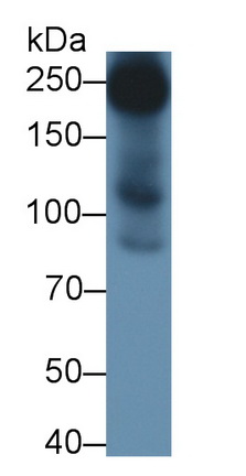 11015