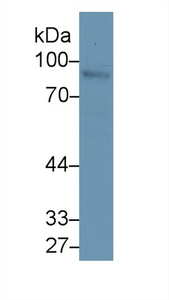 13209