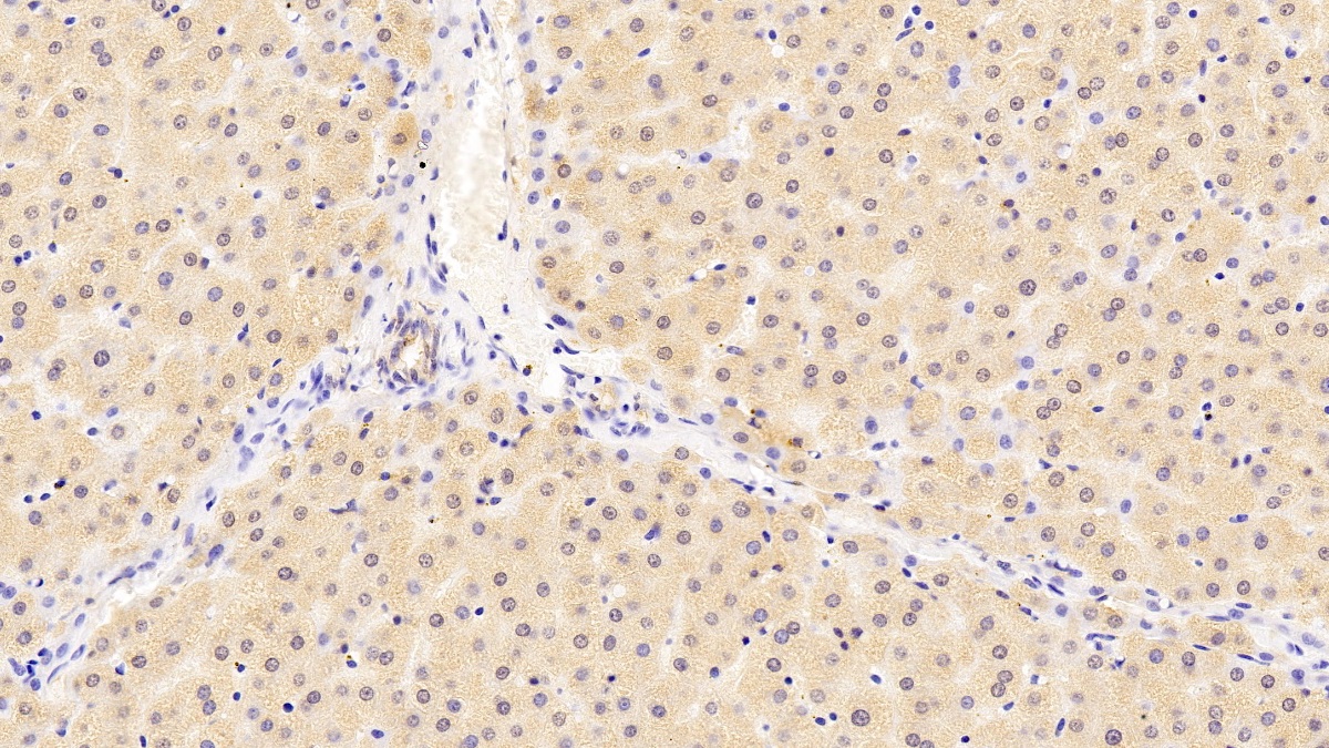 28010
