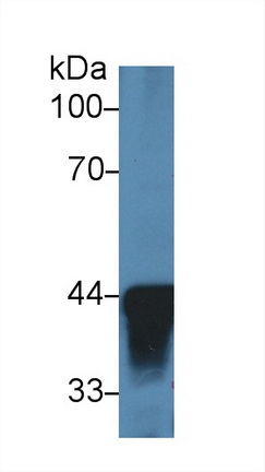 13722