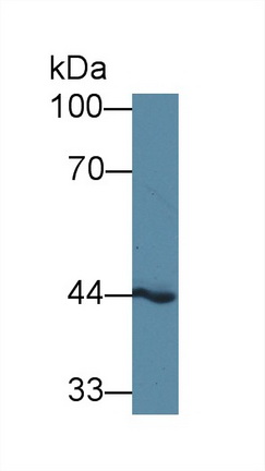 14159