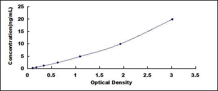 37324