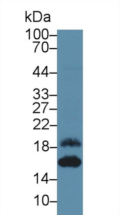 9852