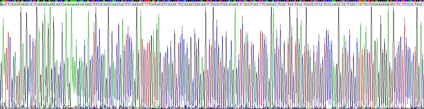 26965