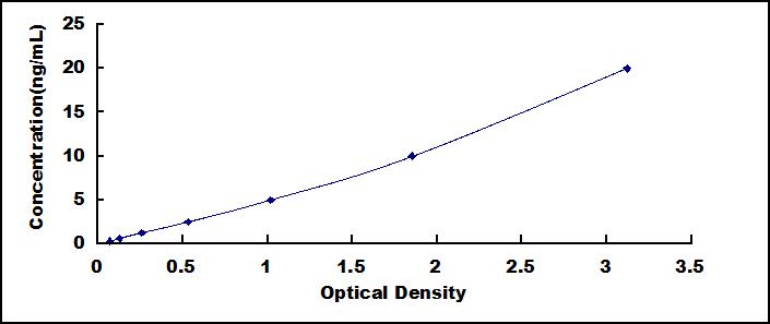 64706