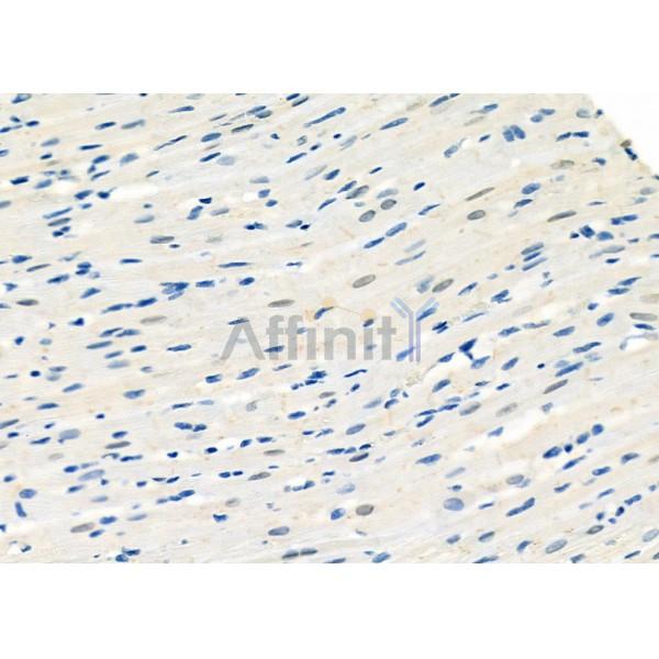 Валидация Affinity DF12289 - 6648