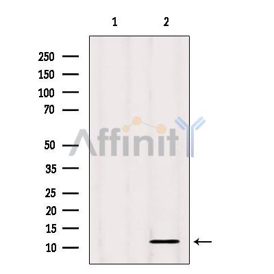 Валидация Affinity DF7458 - 19216