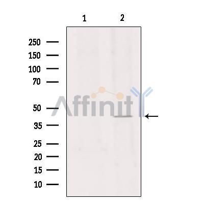 Валидация Affinity DF4972 - 16813