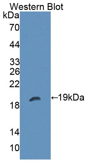 59478