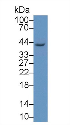 13120