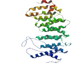 Protein Phosphatase 2, Regulatory Subunit B" Beta (PPP2R5b)