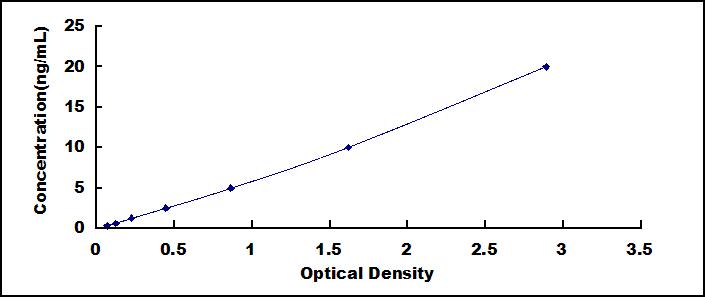 55704