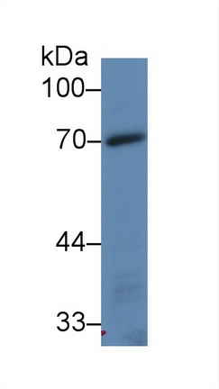 14882