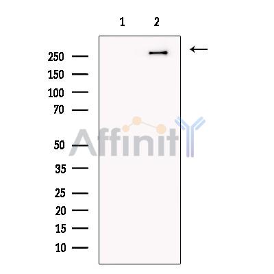 Валидация Affinity DF13392 - 8657
