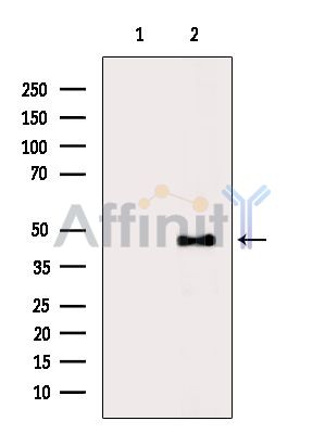 Валидация Affinity AF6723 - 3977