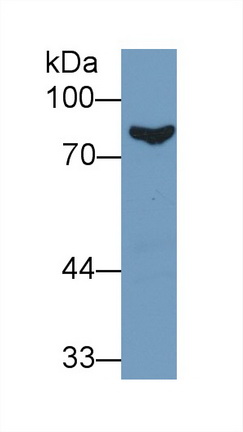 13402