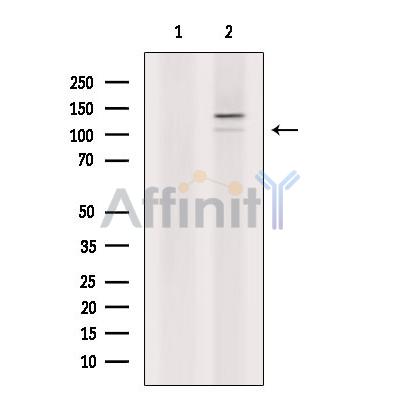 Валидация Affinity DF9512 - 22149