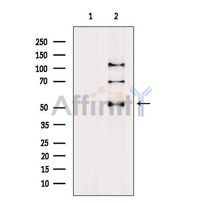 Валидация Affinity DF6684 - 18178