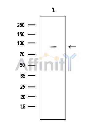 Валидация Affinity DF3342 - 14203