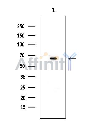 Валидация Affinity DF4494 - 16039